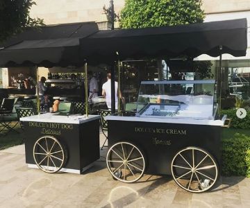 ICE CREAM CARTS