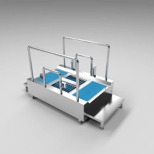 Horizontal Brush Photocell Foot Disinfection Station - Y