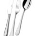 CUTLERY GOLD METAL COPPER 