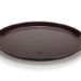 Gastronomy Service Tray