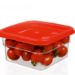 Polycarbonate Food Storage Boxes 