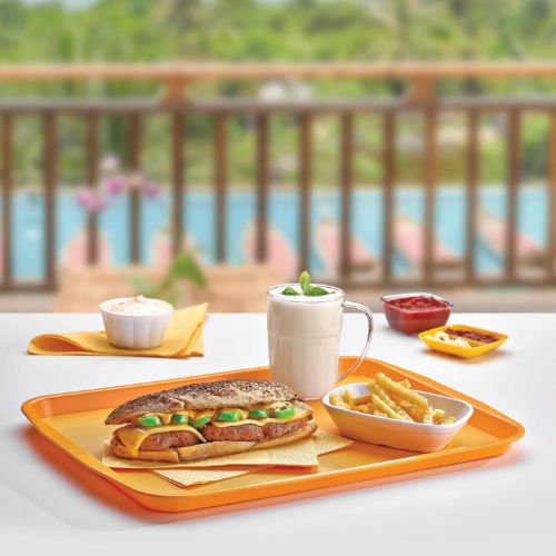 Plastic Trays